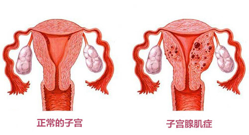 3096614970_副本.jpg